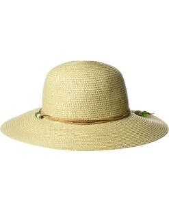 Sunday Afternoons Sol Seeker